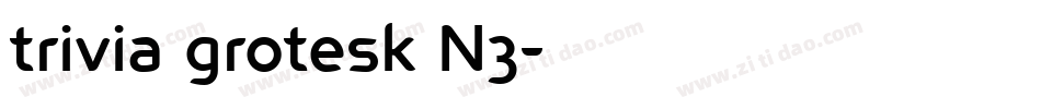 trivia grotesk N3字体转换